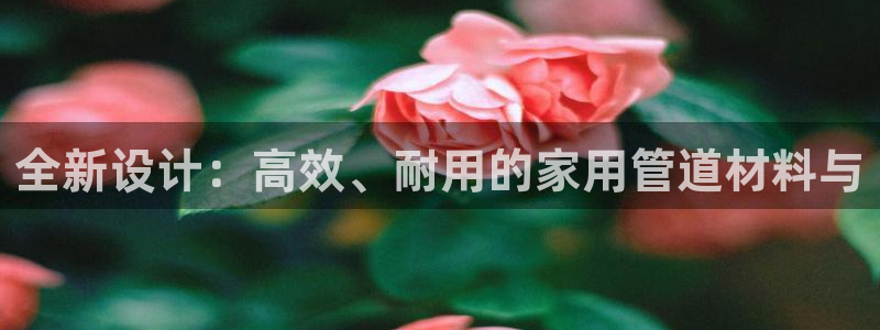 天辰娱乐视频