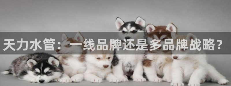 天辰娱乐文化