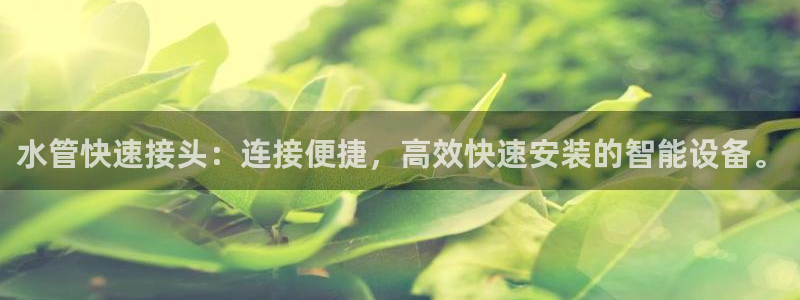天辰娱乐44516