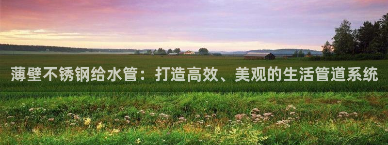 天辰娱乐跑的快