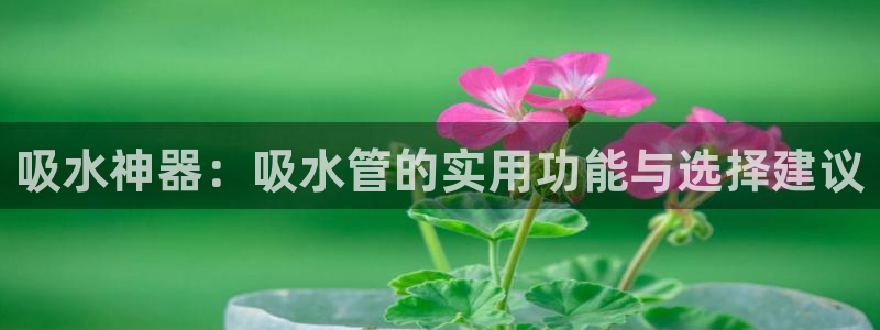 天辰娱乐咋样