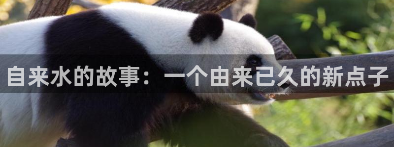 天辰娱乐首选