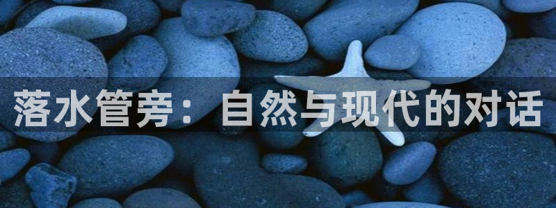 深圳天辰娱乐
