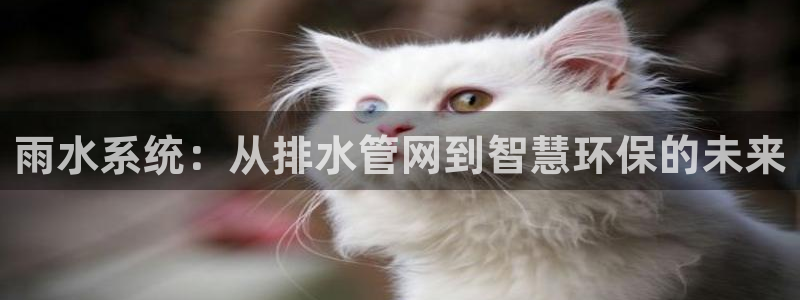 天辰娱乐游戏