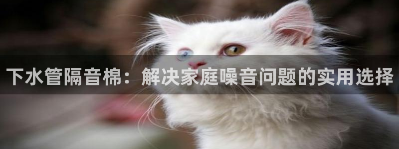 天辰娱乐地址