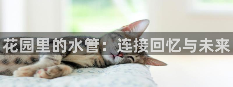 天辰2娱乐