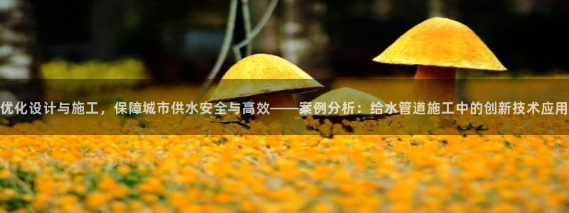 天辰娱乐的网址首页