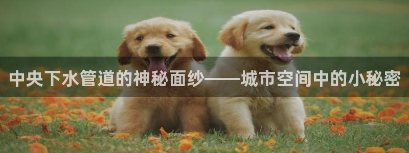 天辰娱乐电话