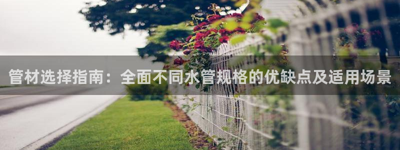 天辰娱乐彩票