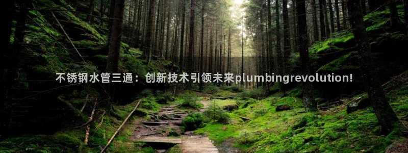 集宁天辰娱乐