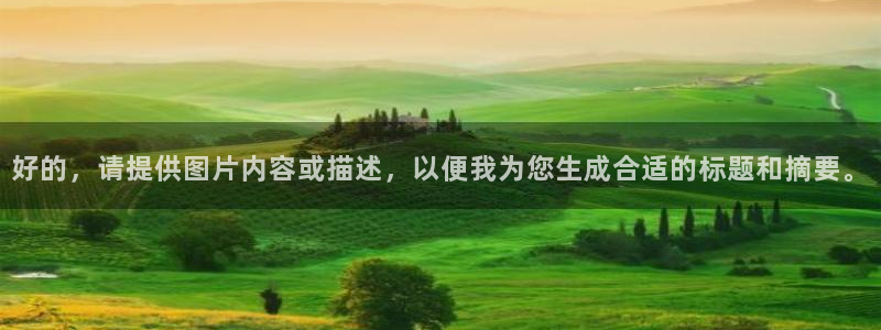 天辰娱乐新