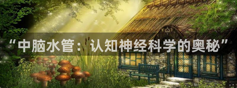 天辰娱乐天辰宝
