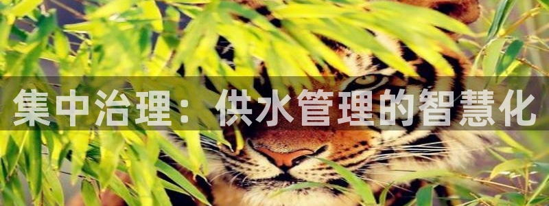 天辰娱乐官网平台下载