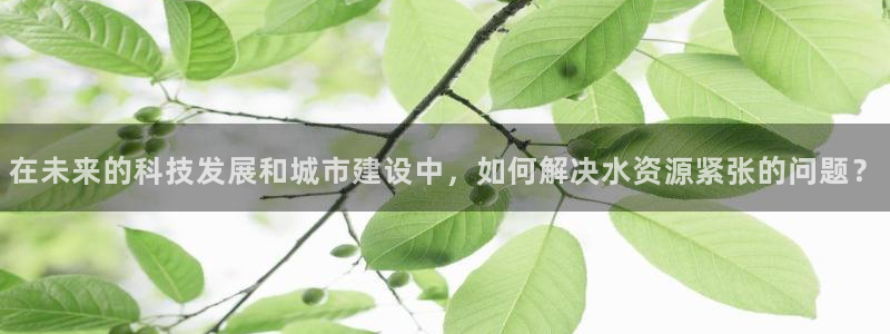 天辰娱乐股东