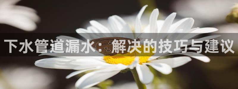 天辰娱乐-q