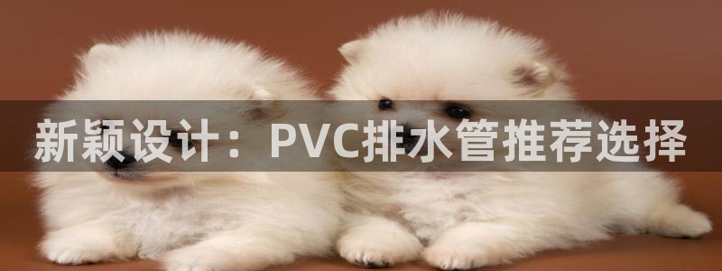 天辰娱乐股票