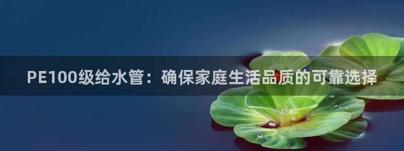 大同天辰娱乐