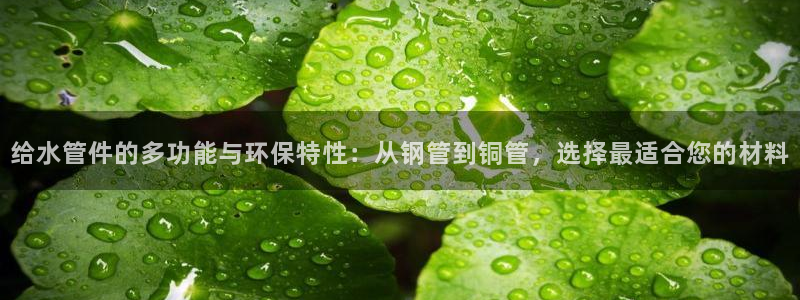 天辰娱乐地址