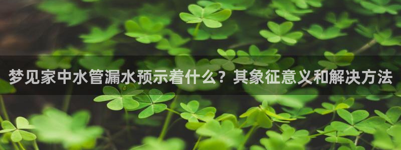 天辰娱乐51137