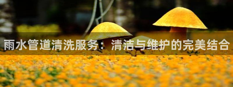 天辰娱乐-18113