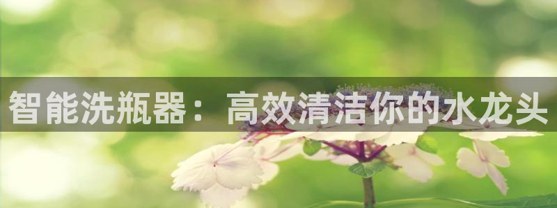 天辰娱乐输了