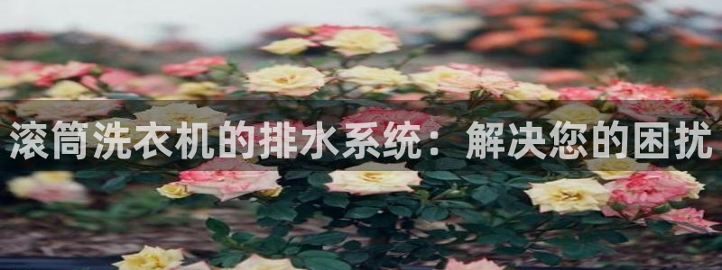 天辰娱乐小姐