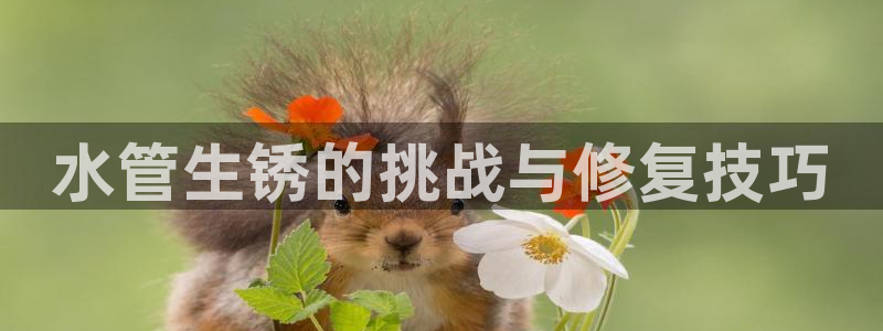 南充天辰娱乐