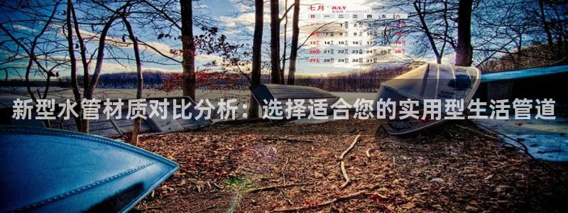 天辰娱乐黑人