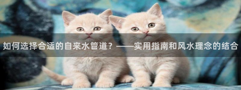 天辰娱乐