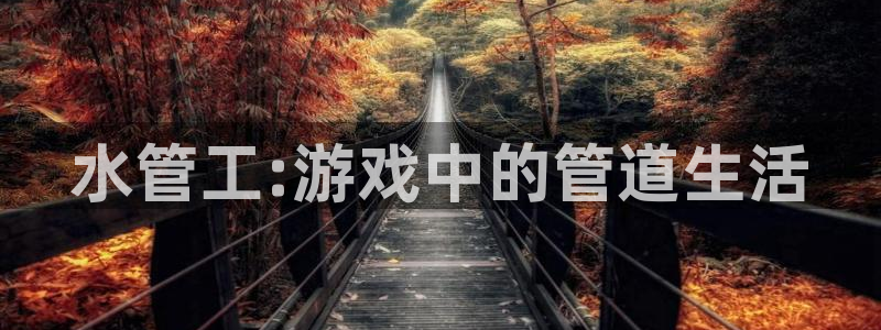 天辰娱乐游客
