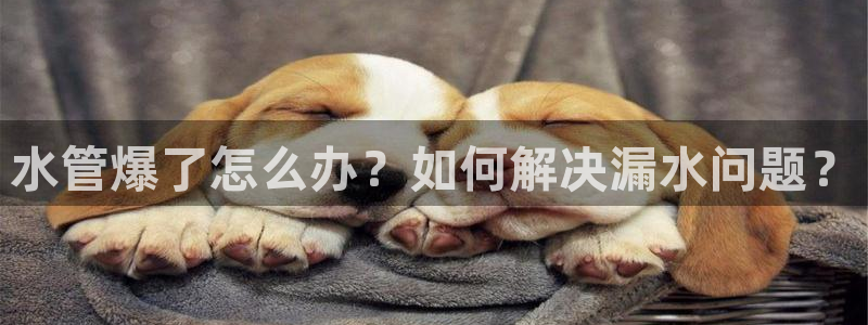 天辰娱乐文案
