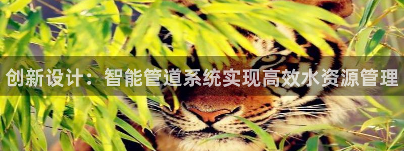 天辰娱乐平台靠谱么