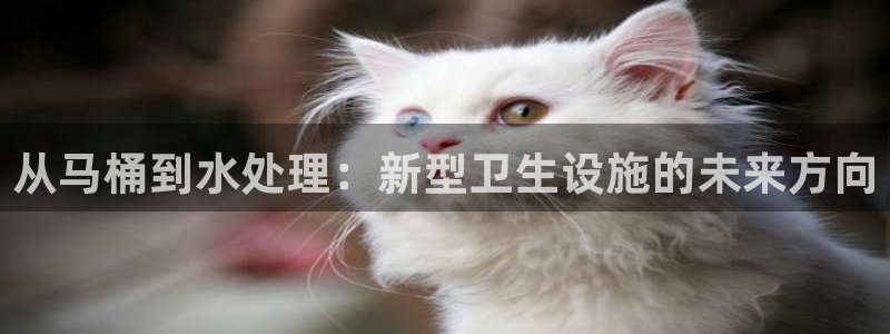 天辰娱乐说