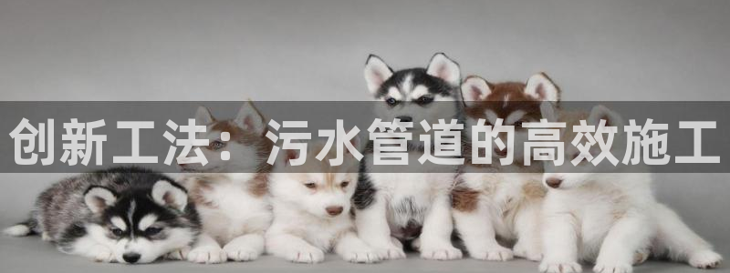 天辰娱乐2