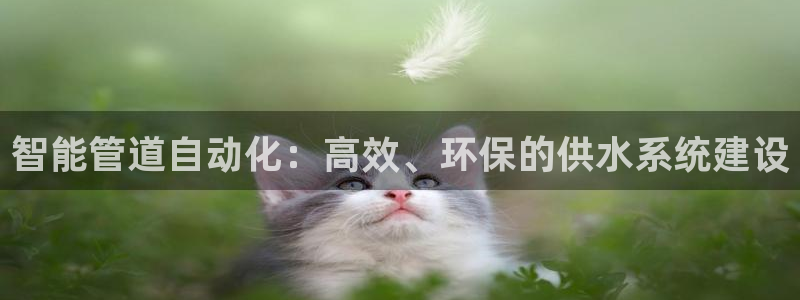 天辰娱乐好吗