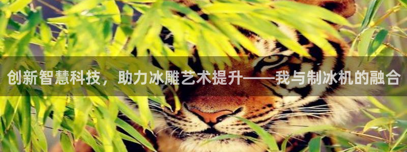 深圳天辰娱乐