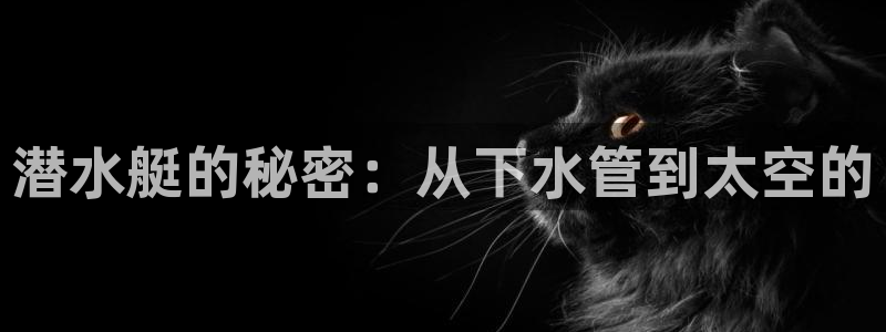 天辰娱乐鱼刺