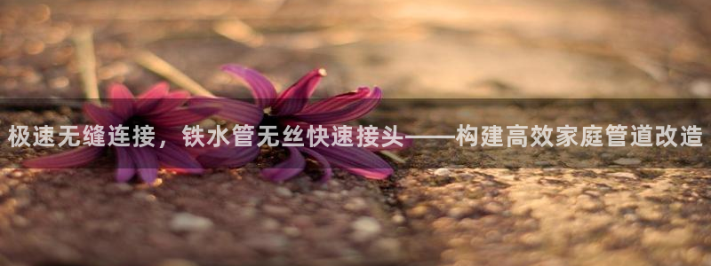 天辰娱乐官方网