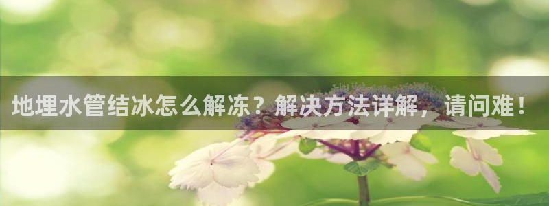 天辰娱乐简介