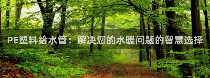 天辰娱乐元宝