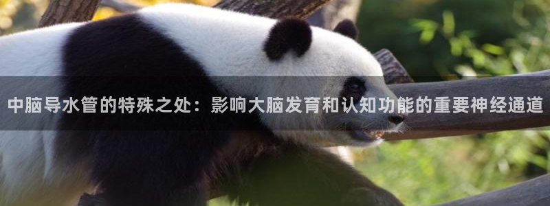 天辰娱乐的网址首页