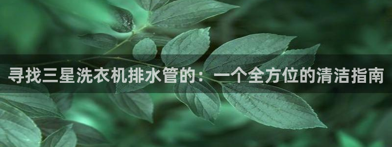 天辰娱乐线路