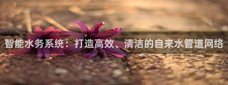 天辰娱乐1980