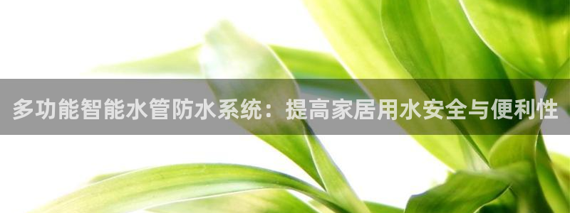 天辰娱乐老板