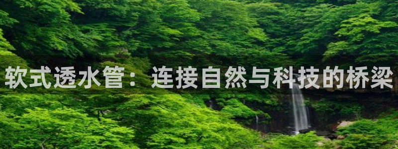 天辰娱乐1996