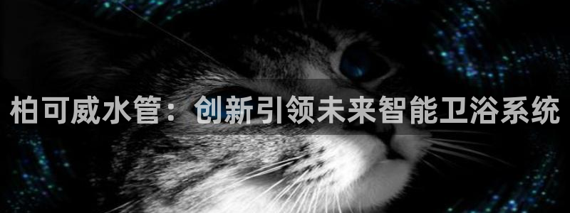天辰娱乐内部