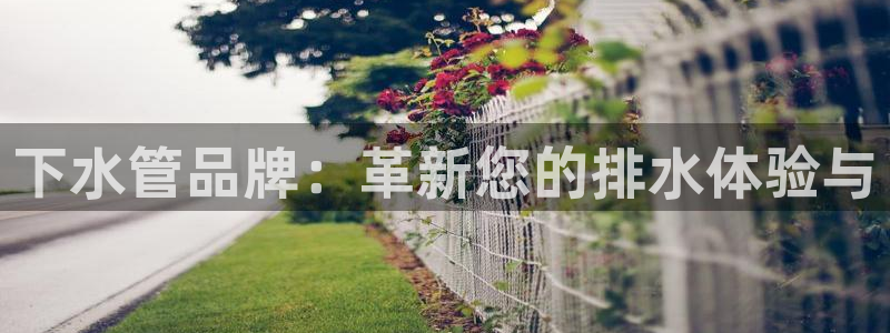 天辰娱乐小姐