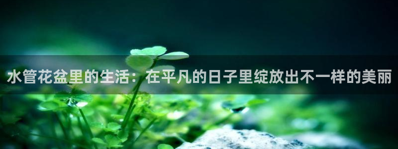 天辰娱乐新闻