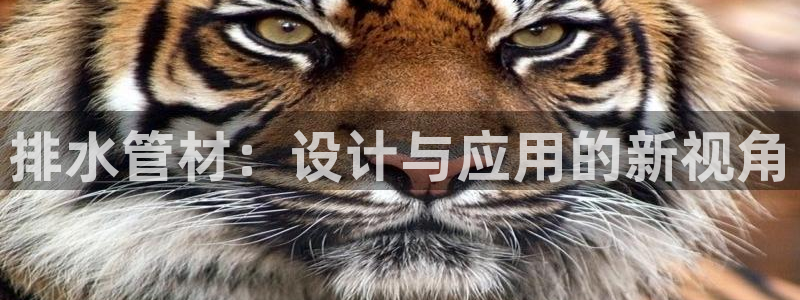 天辰娱乐软件