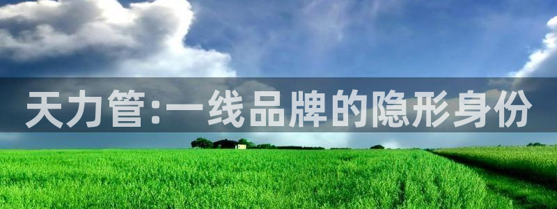 天辰娱乐44616